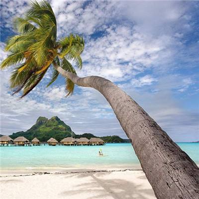 BOB·体育综合(综合)APP下载安装