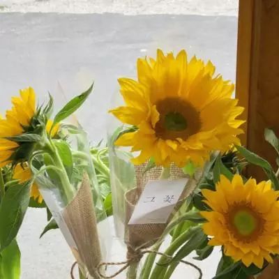 万博全站ManBetX4.79下载